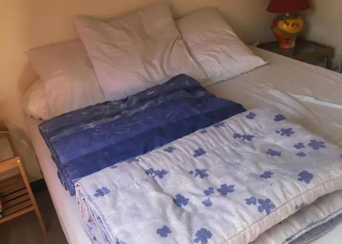 Pyrene * Vielle-Aure